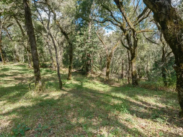 a view of outdoor space with trees all around