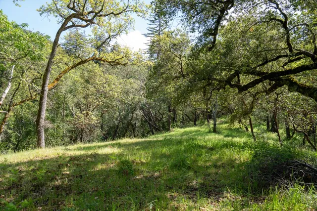 a view of outdoor space and yard