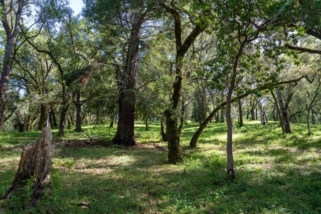 a view of outdoor space with green field and trees