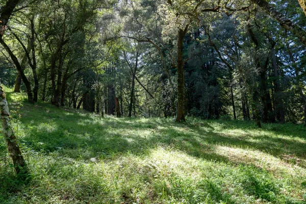 $474,000 | 35000 Robinson Canyon Road, Carmel, CA 93923