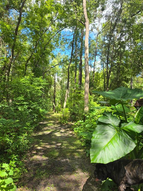 19995 Manecke Road Brooksville, FL 34601 - Photo 23 of 25 Gallery Image 23