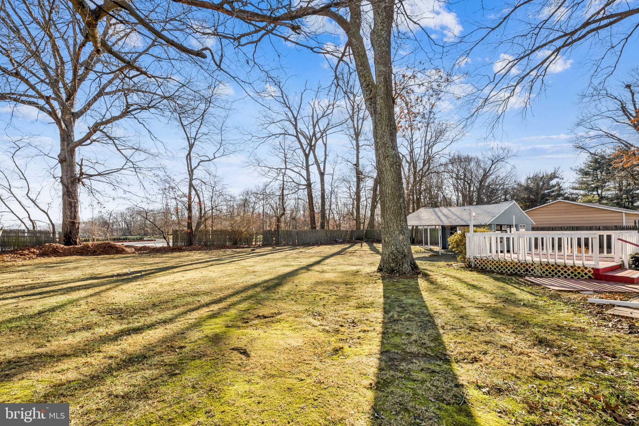255 South Woodruff Road Bridgeton, NJ 08302 - Photo 23 of 25 a view of a yard with trees