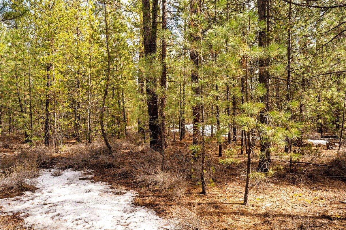 4400 Lukes Road La Pine, OR 97739 - Photo 9 of 16 8-Lot