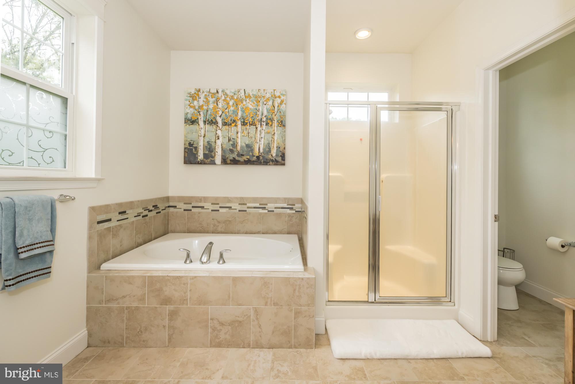 4162 Conestoga Road Elverson, PA 19520 - Photo 20 of 49 Soaking Tub plus Shower