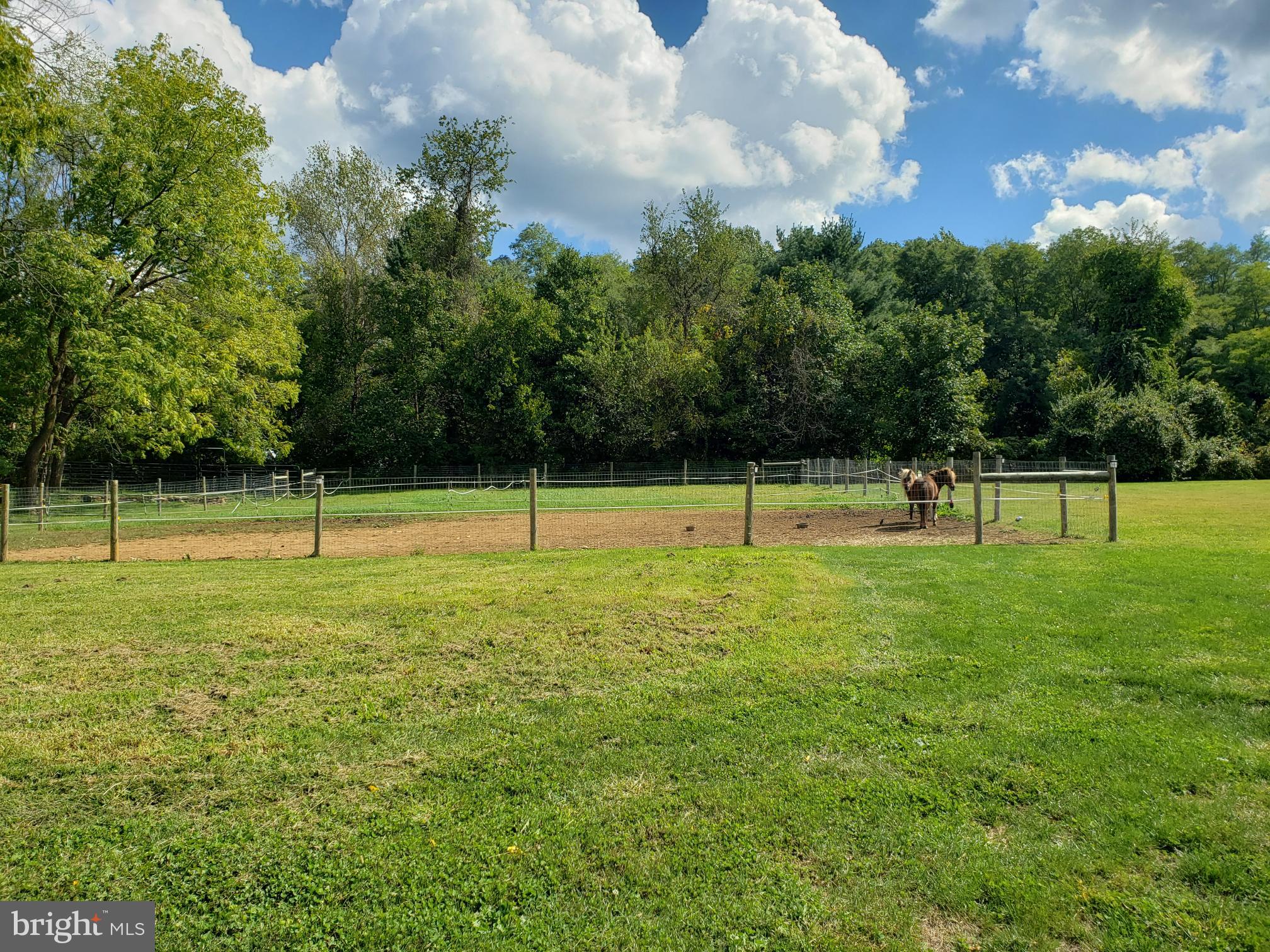 4162 Conestoga Road Elverson, PA 19520 - Photo 4 of 49 Spectacular Private Country Setting!