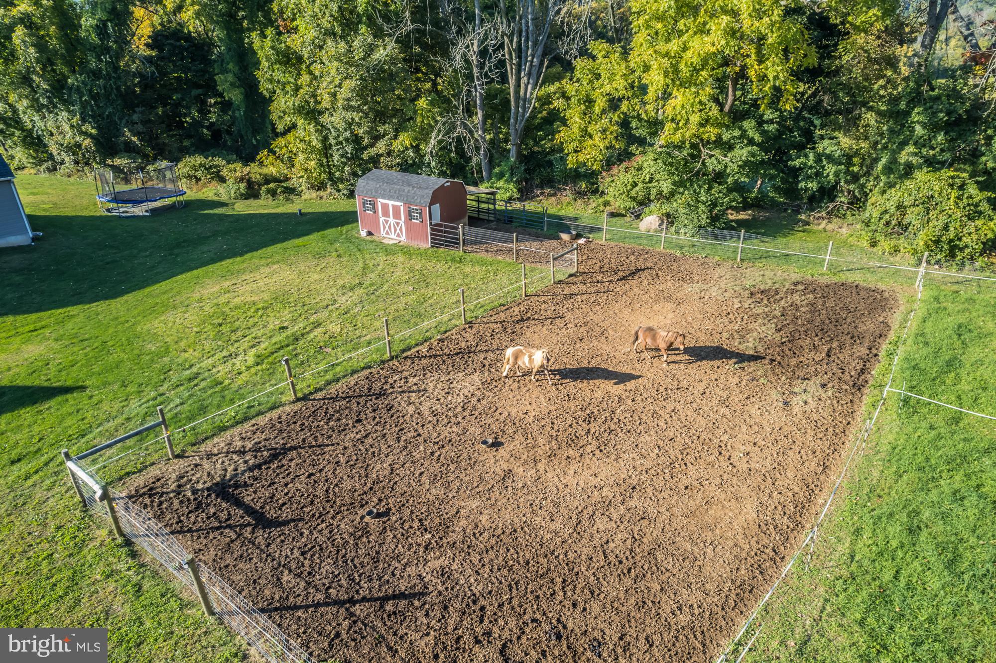4162 Conestoga Road Elverson, PA 19520 - Photo 44 of 49 Bring your horses!