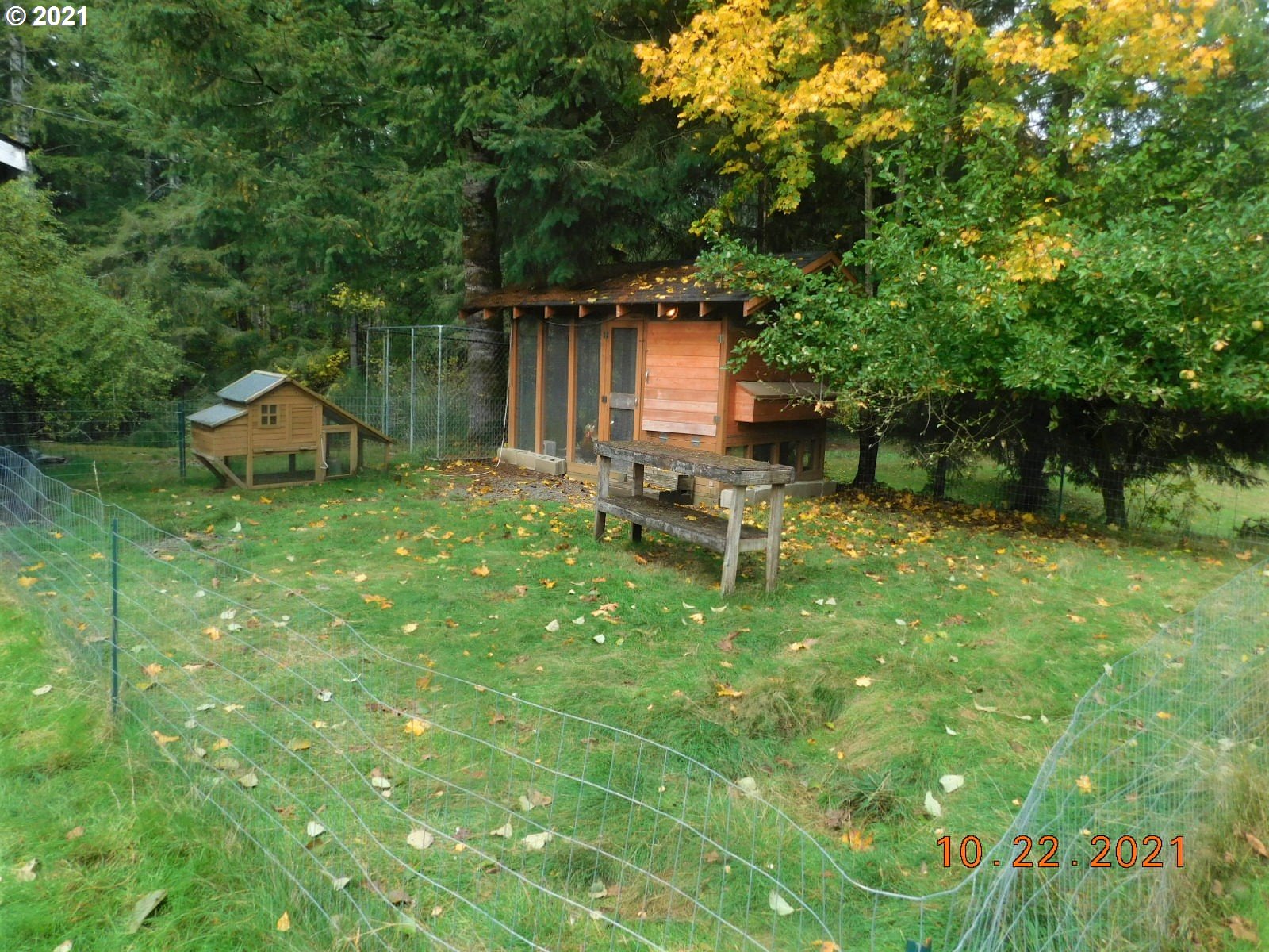 41757 Joe Woodard Road Seaside, OR 97138 - Photo 14 of 18 Gallery Image 14