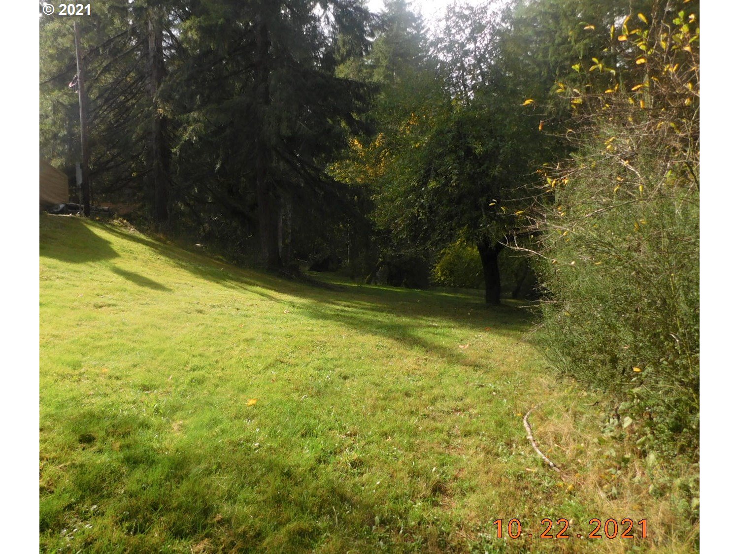 41757 Joe Woodard Road Seaside, OR 97138 - Photo 15 of 18 Gallery Image 15