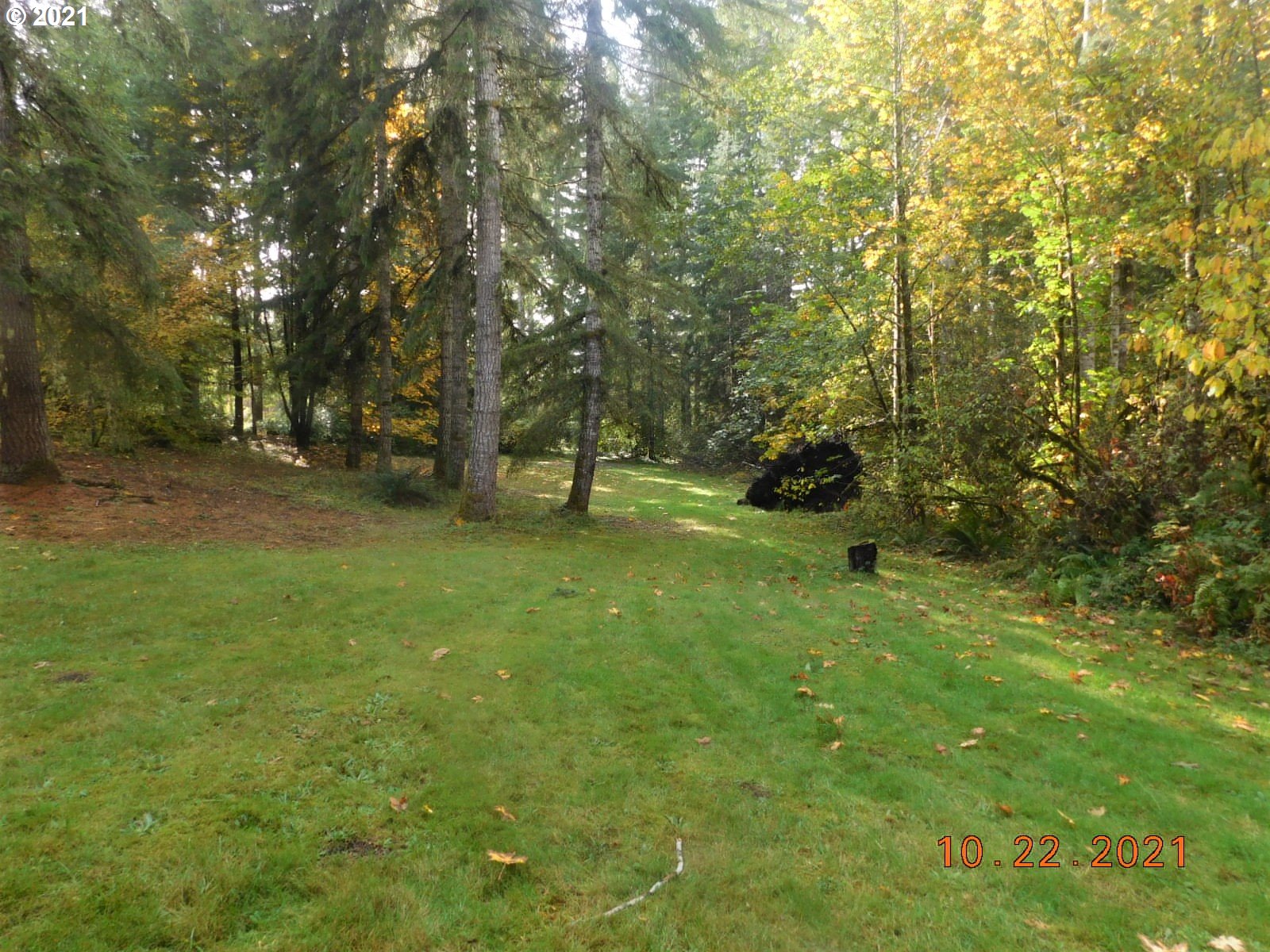 41757 Joe Woodard Road Seaside, OR 97138 - Photo 17 of 18 Gallery Image 17