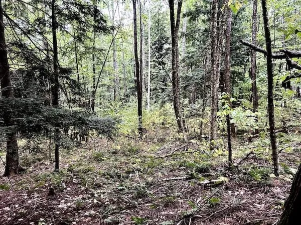 $39,000 | Bradley Hill Road, Unit 1, Woodsville, NH 03785