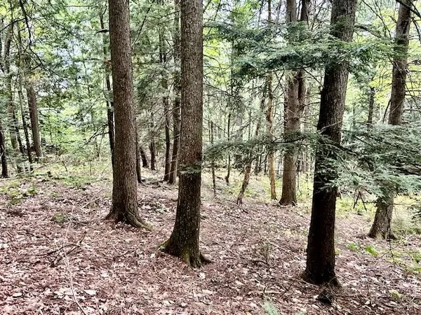 $39,000 | Bradley Hill Road, Unit 1, Woodsville, NH 03785