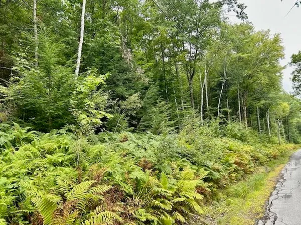 $39,000 | Bradley Hill Road, Unit 1, Woodsville, NH 03785