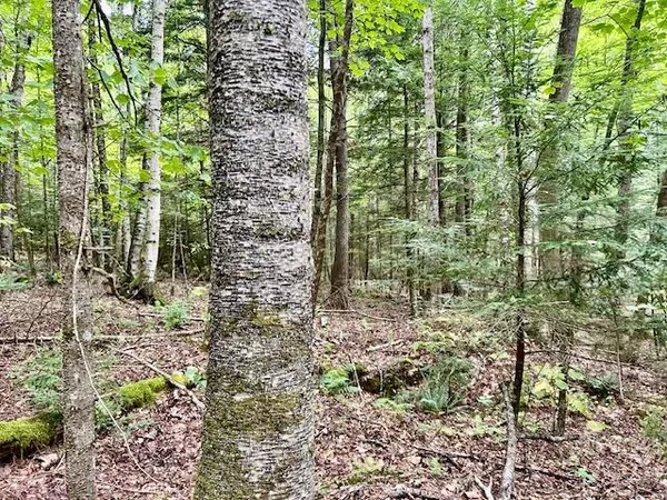 $39,000 | Bradley Hill Road, Unit 1, Woodsville, NH 03785