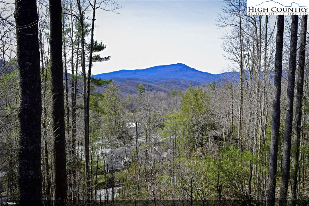 143 High Wray Boone, NC 28607 - Photo 2 of 31 Gallery Image 2