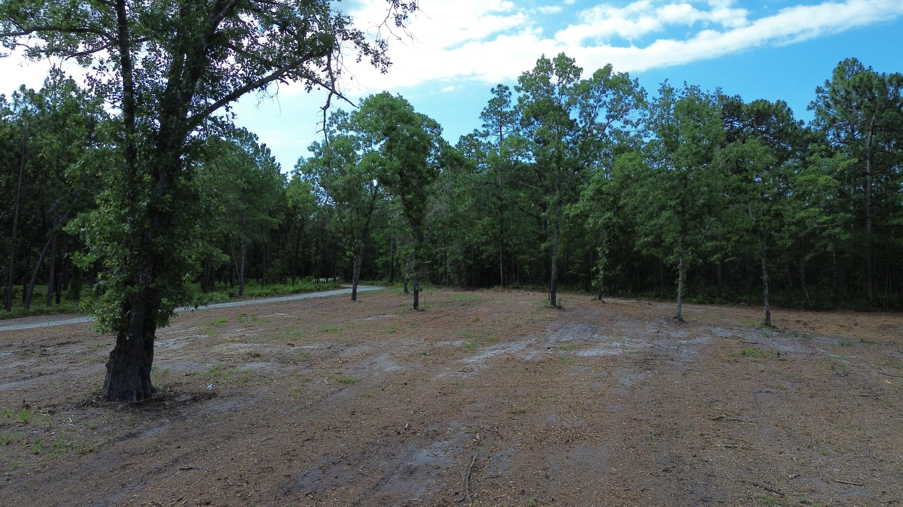 2 Trojan Road Cross, SC 29436 - Photo 12 of 17
