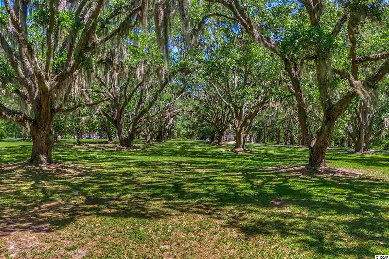 222 Tuckers Road Pawleys Island, SC 29585 - Photo 11 of 25 Gallery Image 11