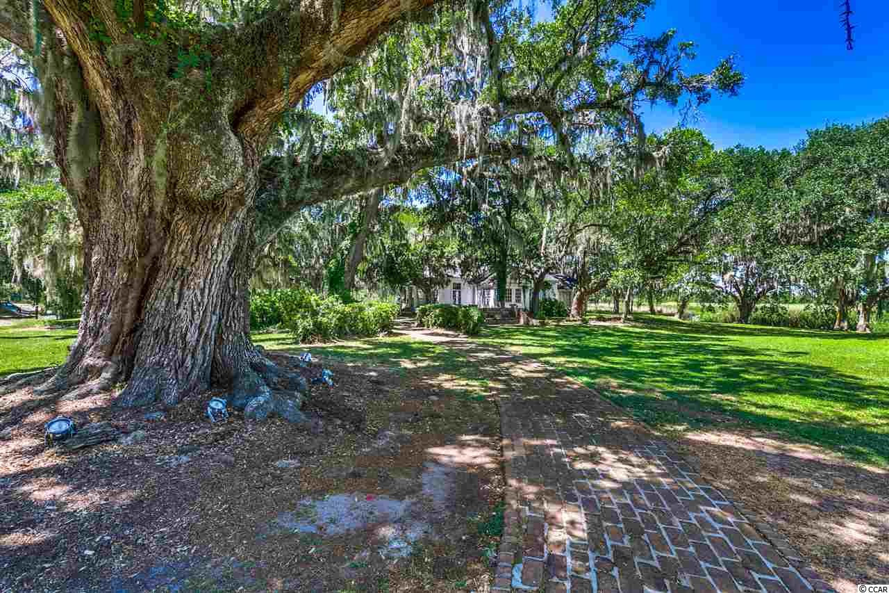222 Tuckers Road Pawleys Island, SC 29585 - Photo 12 of 25 Gallery Image 12