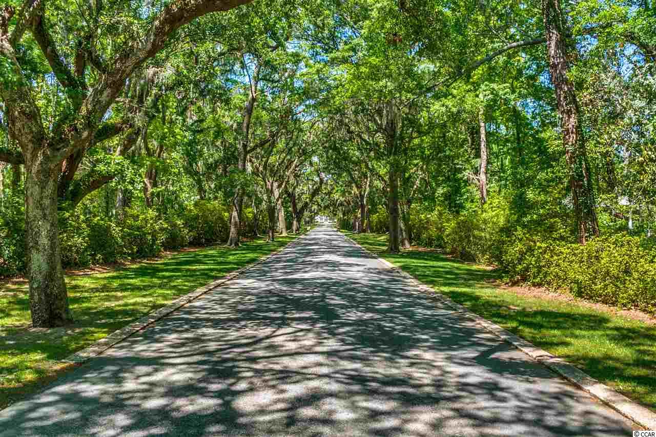 222 Tuckers Road Pawleys Island, SC 29585 - Photo 10 of 25 Gallery Image 10