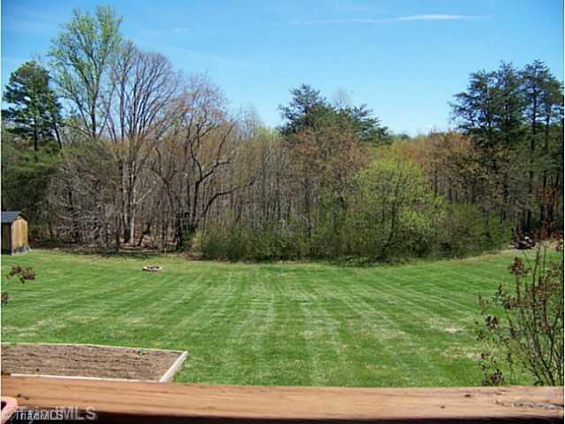580 Carson Road Pilot Mountain, NC 27041 - Photo 14 of 16 Exterior Back.
