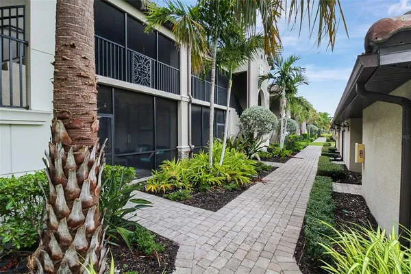 a view of a backyard with potted plants
