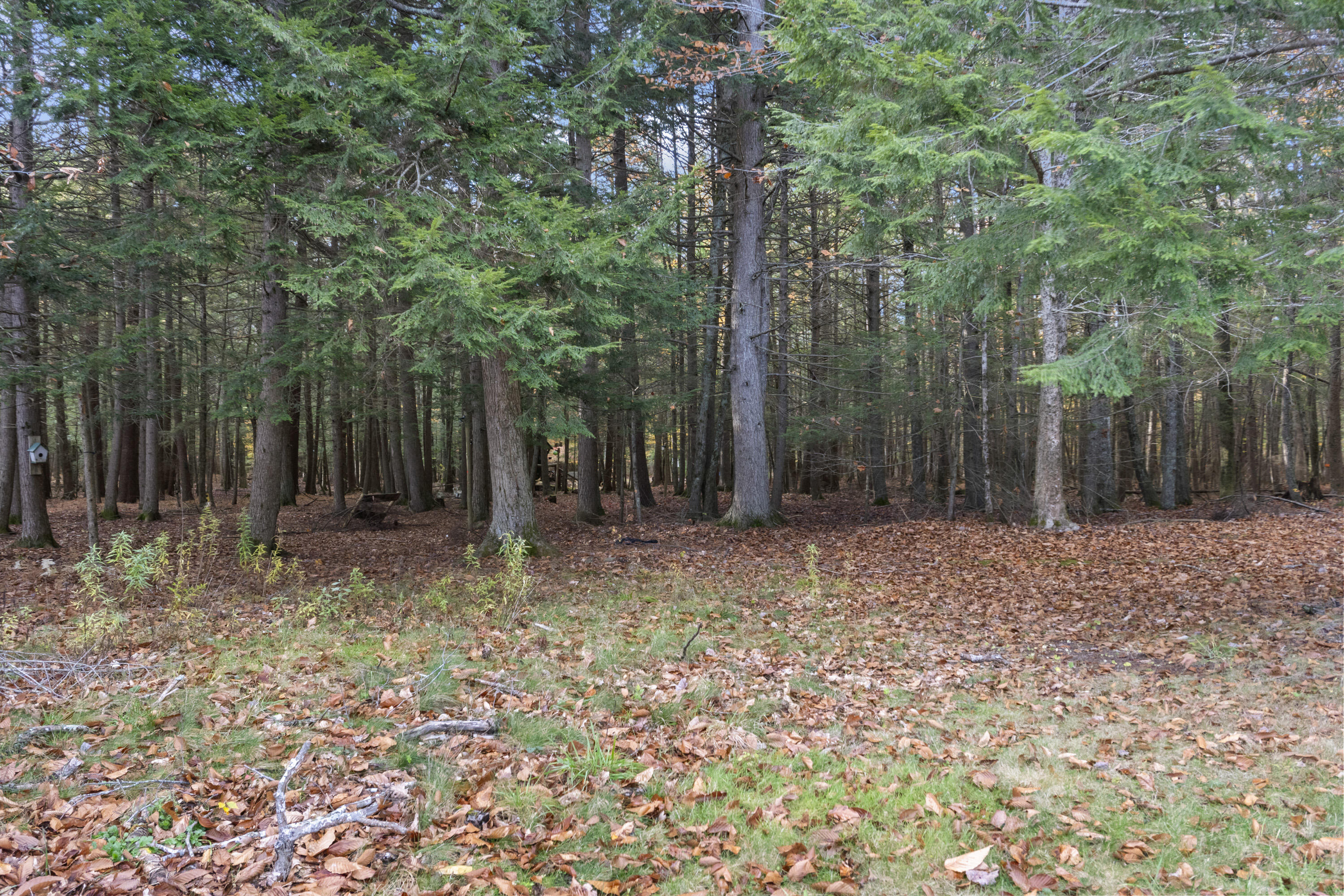 82 Carll Road Buxton, ME 04093 - Photo 95 of 106 82 Carll Rd_197