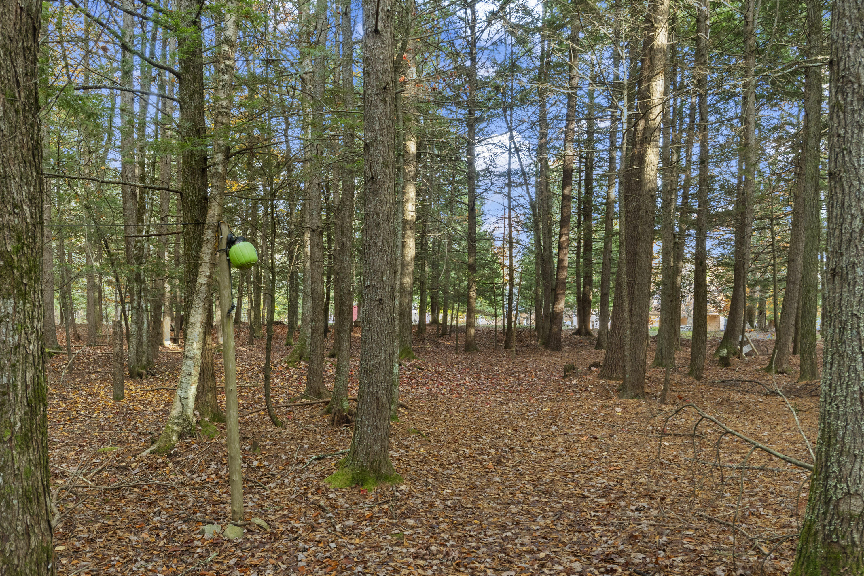 82 Carll Road Buxton, ME 04093 - Photo 97 of 106 82 Carll Rd_201