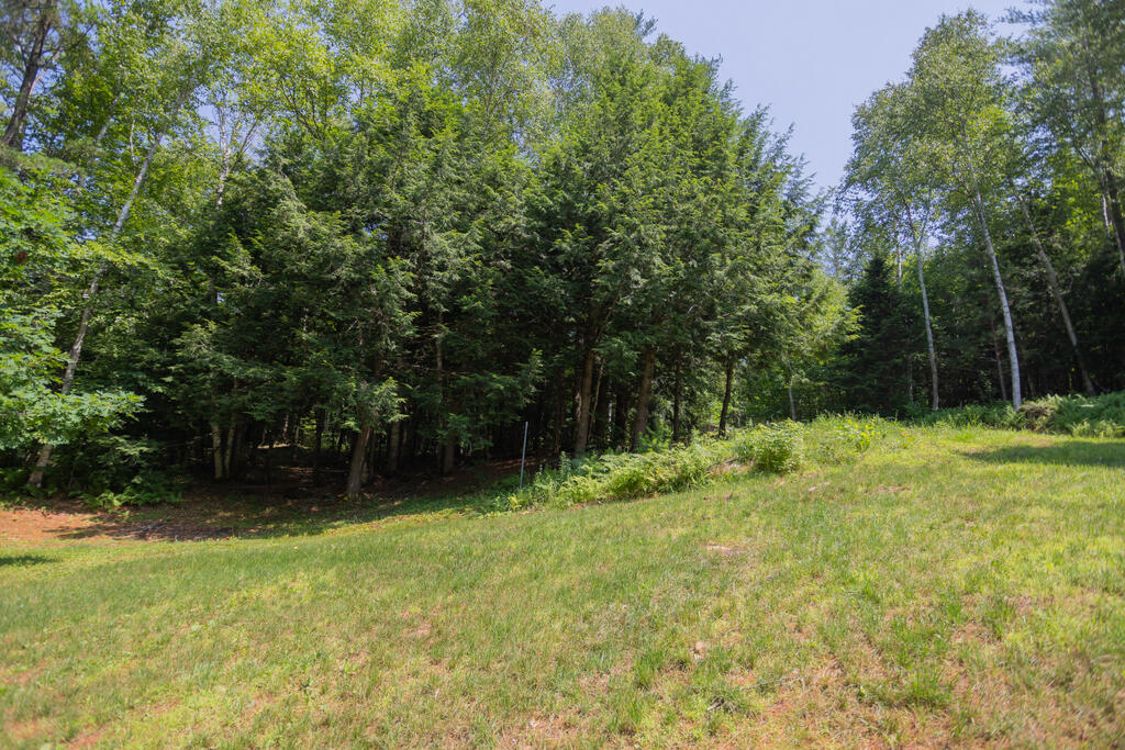 266 Phillips Road Strong, ME 04983 - Photo 32 of 38 taylor-kaminsky-photo-4