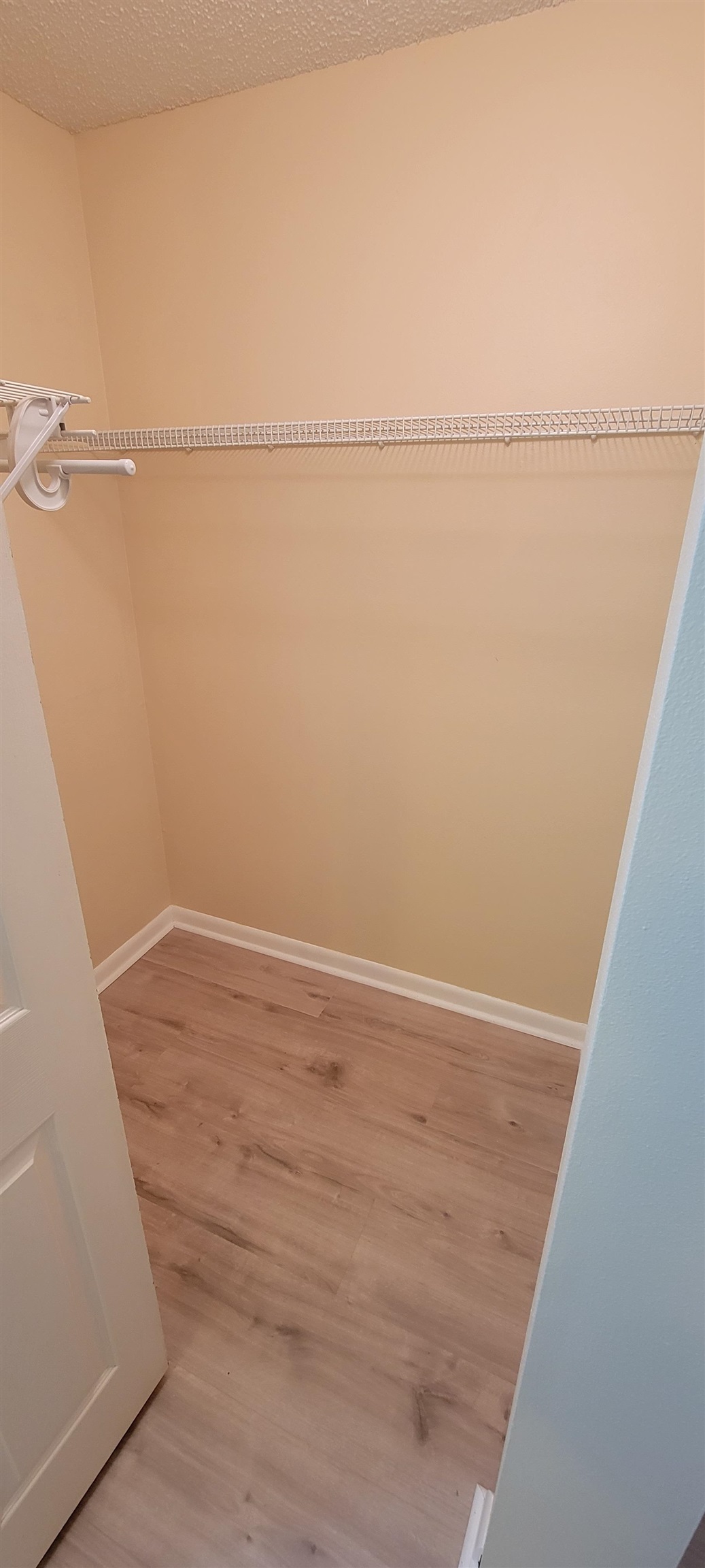 5 Catalonia Court St. Augustine, FL 32086 - Photo 19 of 30 Walk in closet with light wood finished floors