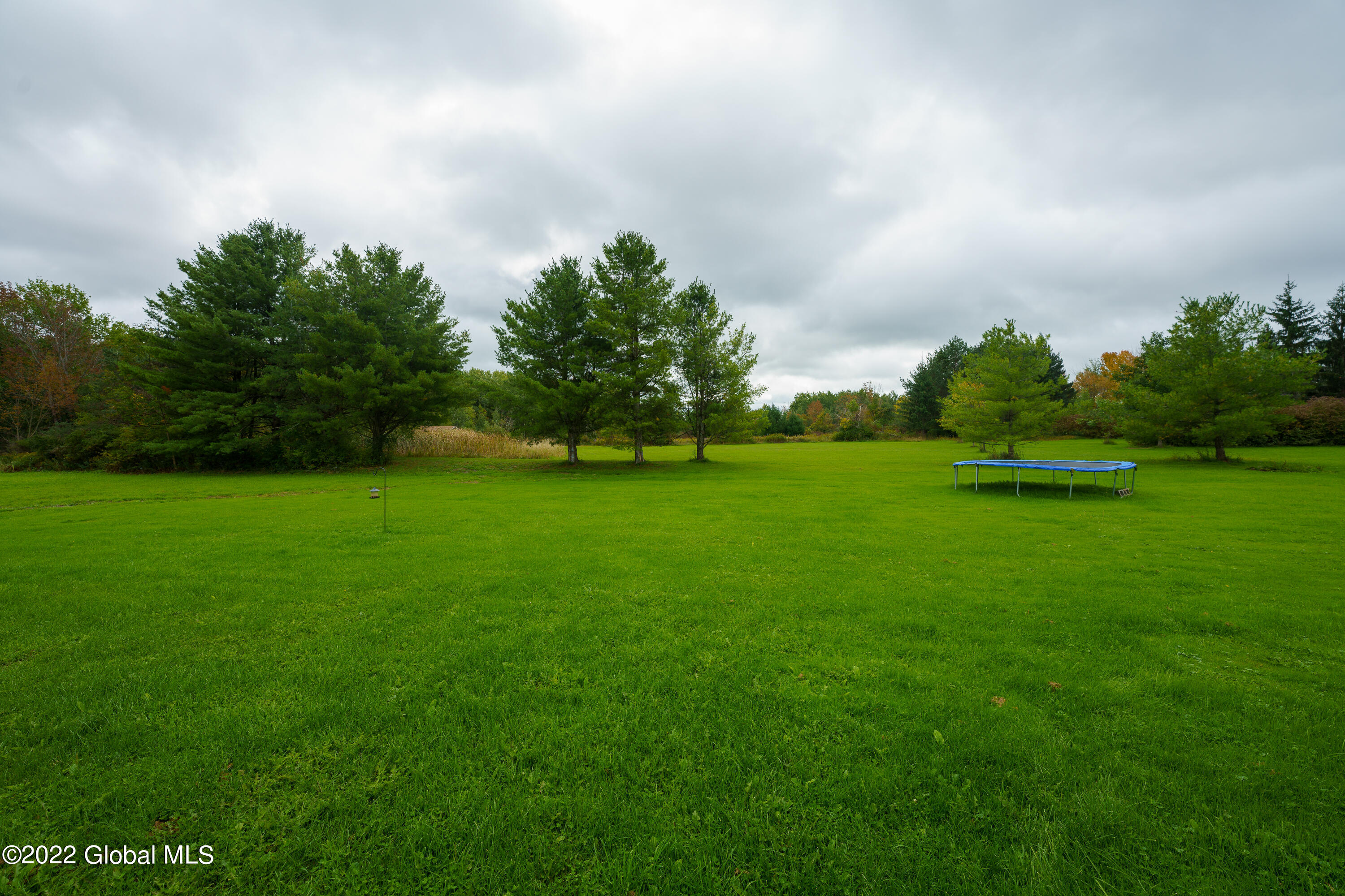 984 Westfall Road Wright, NY 12053 - Photo 26 of 30 Yard 2