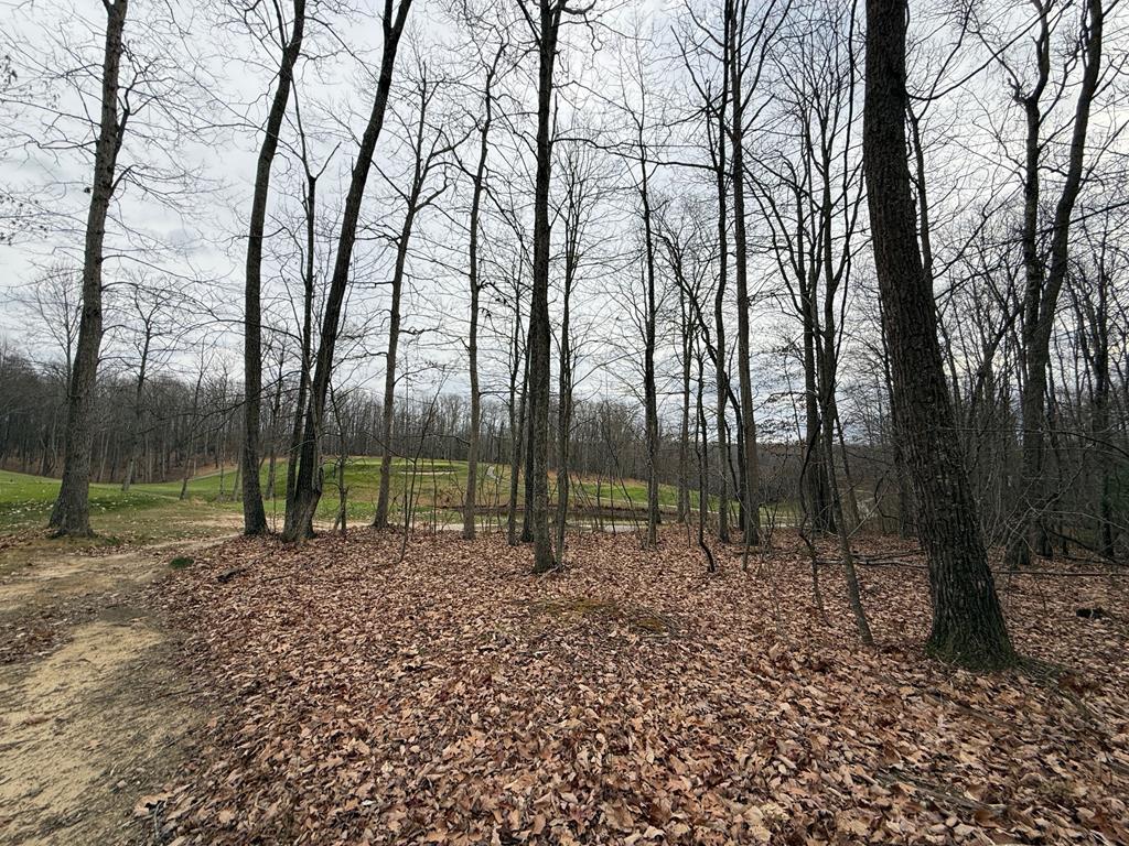 165 Rothfield Circle, Unit 2 Daniels, WV 25832 - Photo 6 of 7 Gallery Image 6