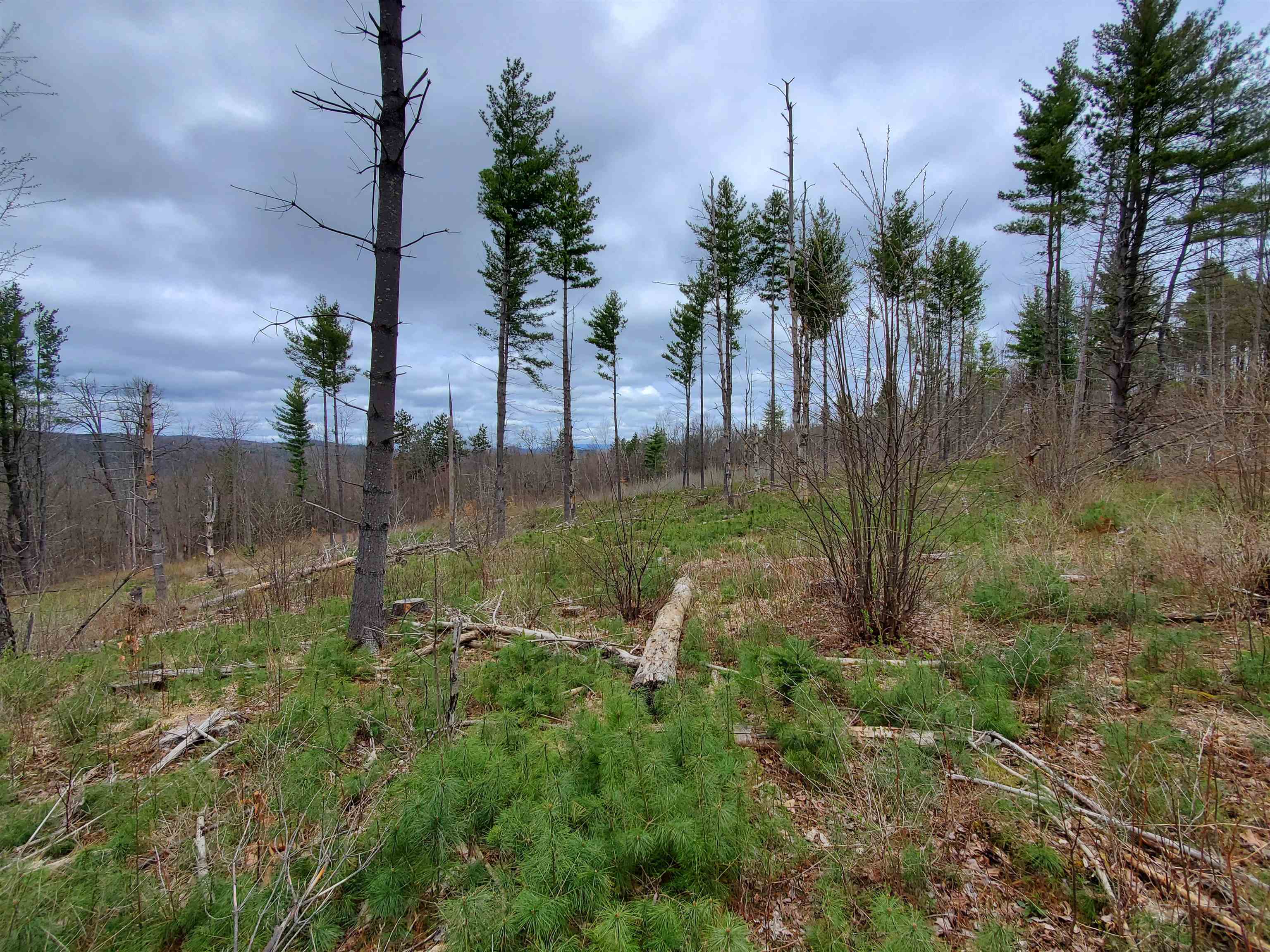 231 Belknap Road Berlin, VT 05602 - Photo 1 of 19