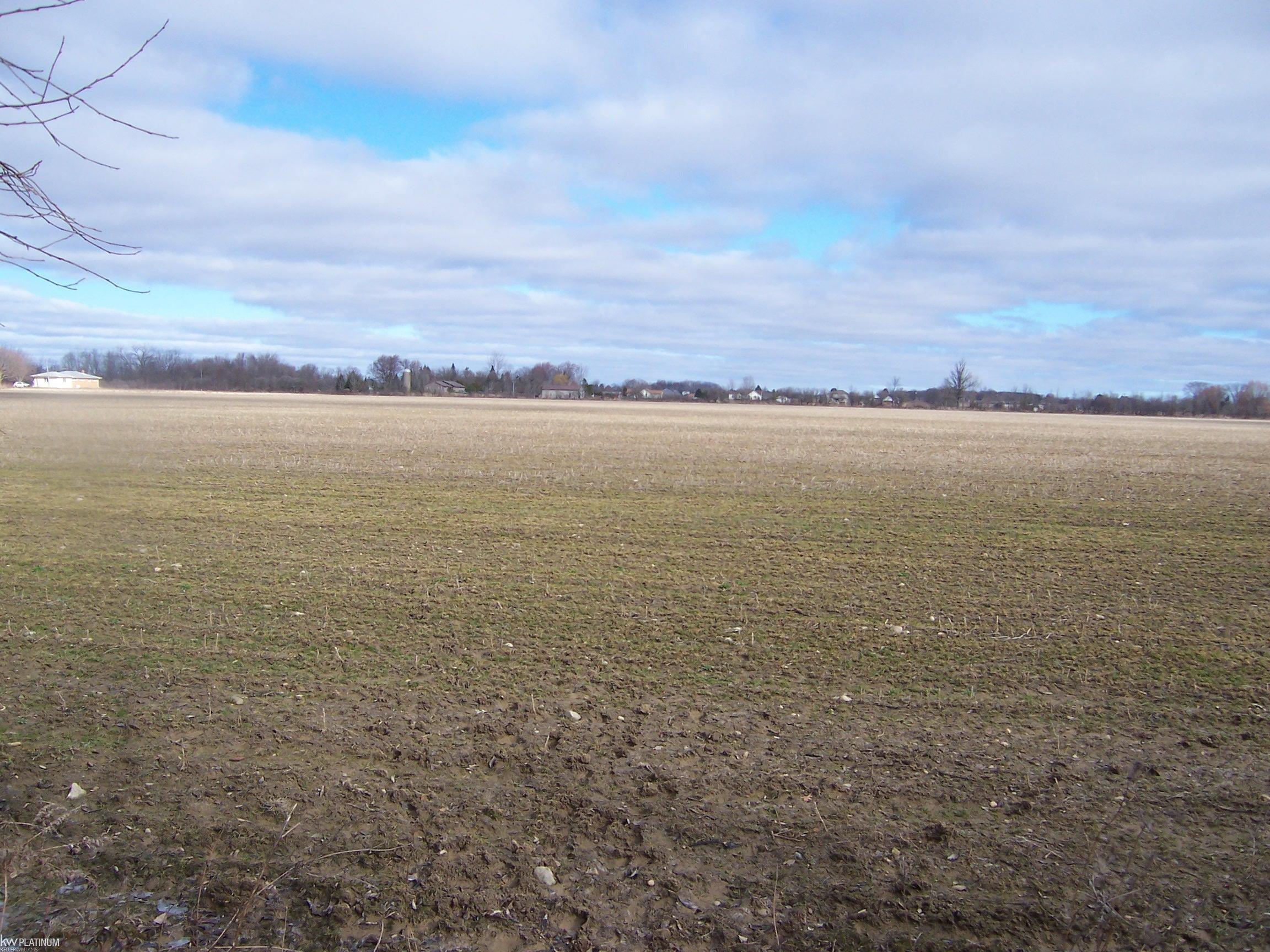Lot G Carroll Road Columbus, MI 48063 - Photo 1 of 2 Gallery Image 1