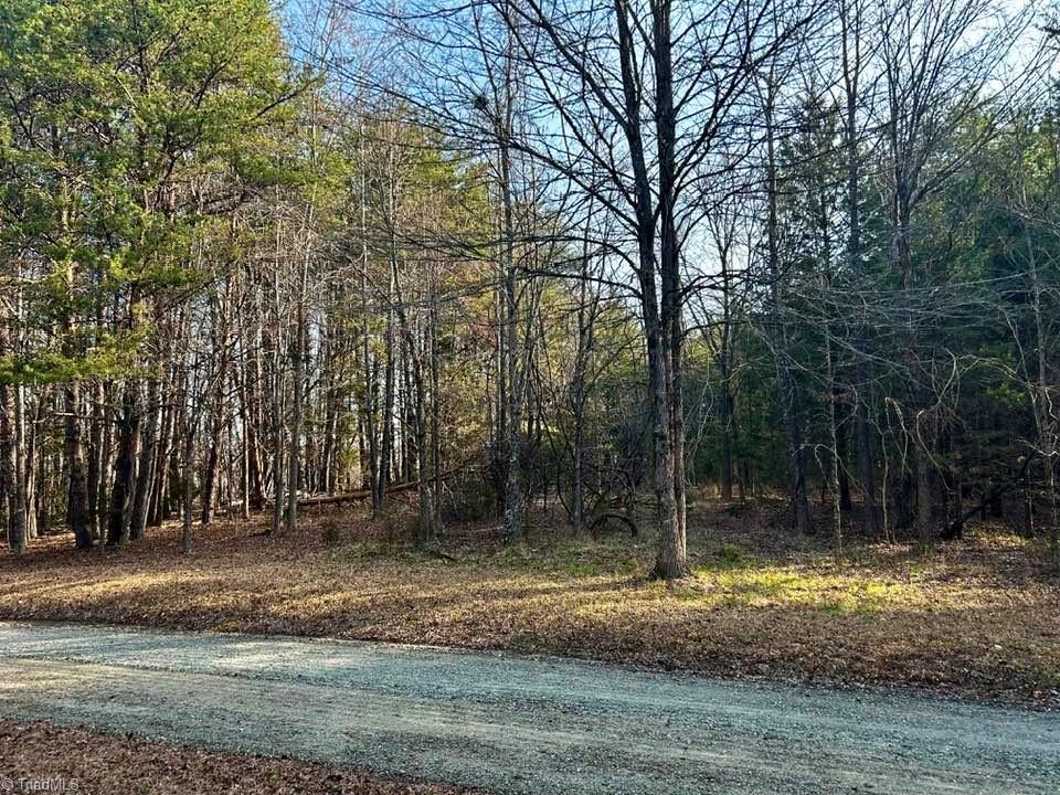 11.05-acres Elmore Road Leasburg, NC 27291 - Photo 3 of 5