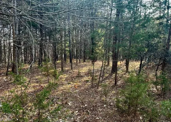 $85,000 | 11.05-acres Elmore Road, Leasburg, NC 27291