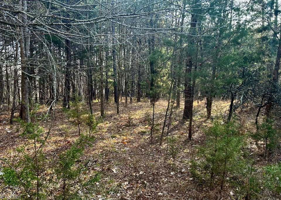 11.05-acres Elmore Road Leasburg, NC 27291 - Photo 4 of 5