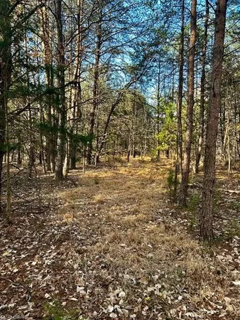 $85,000 | 11.05-acres Elmore Road, Leasburg, NC 27291