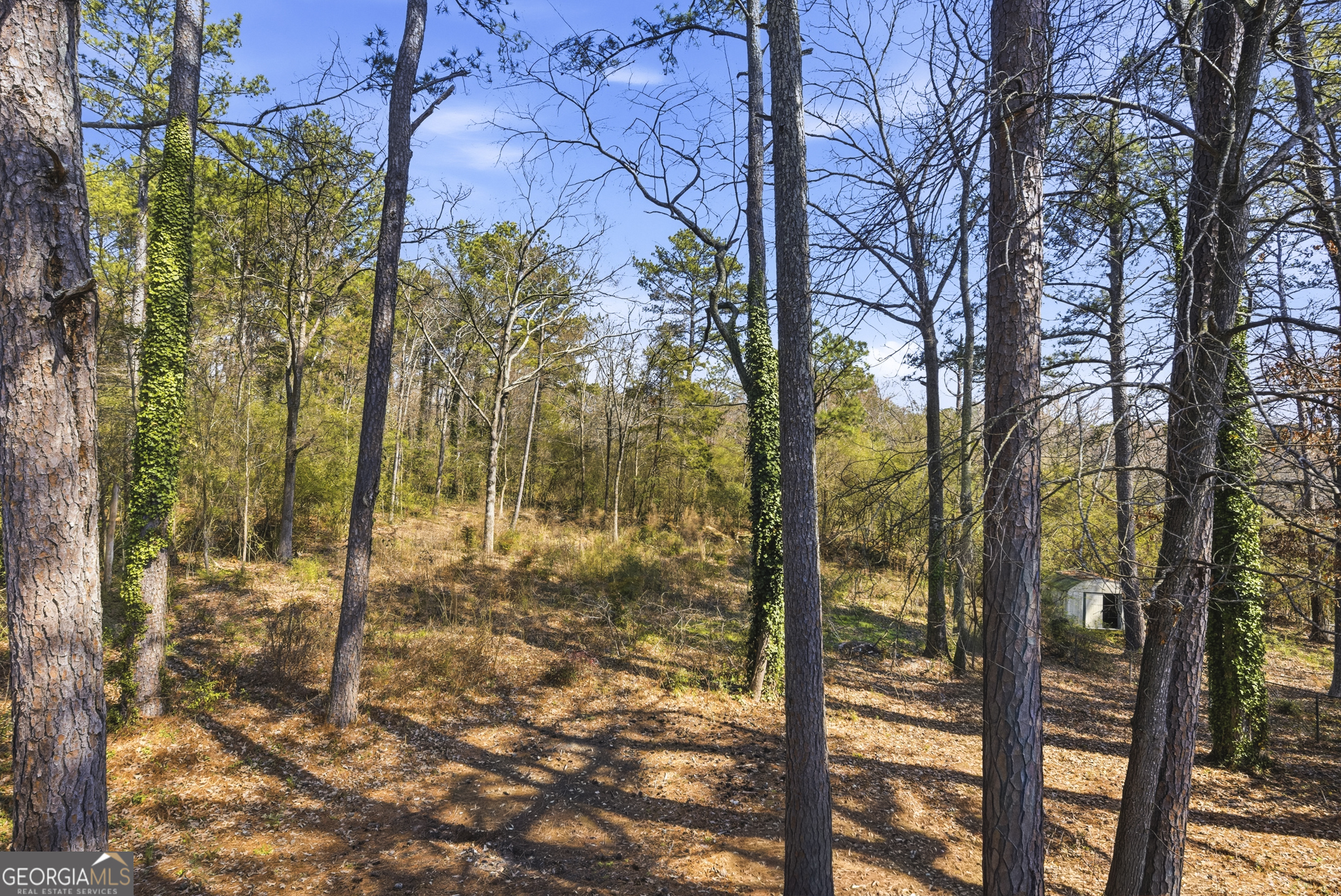 2470 Northbrook Road Snellville, GA 30039 - Photo 27 of 29