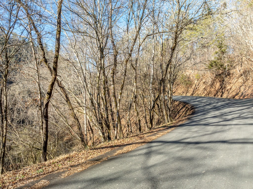 0 Middle Creek Road Cosby, TN 37722 - Photo 16 of 30
