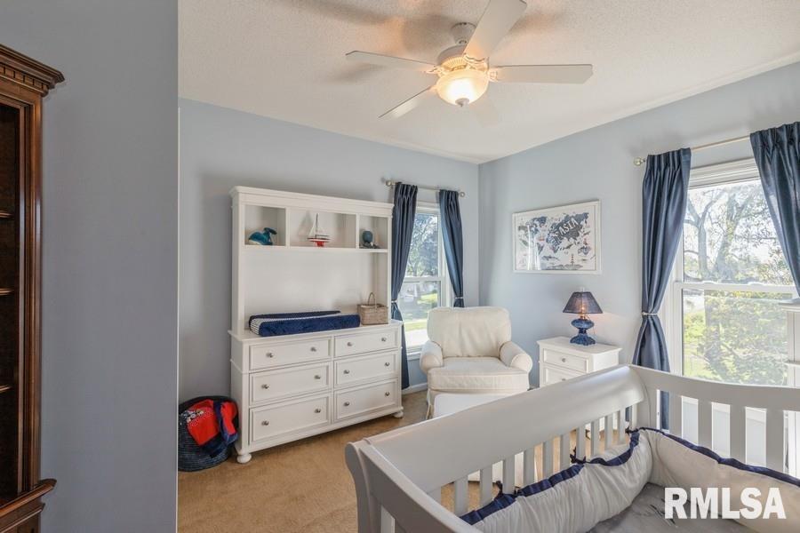 108 East D Street Alpha, IL 61413 - Photo 21 of 29 Gallery Image 21