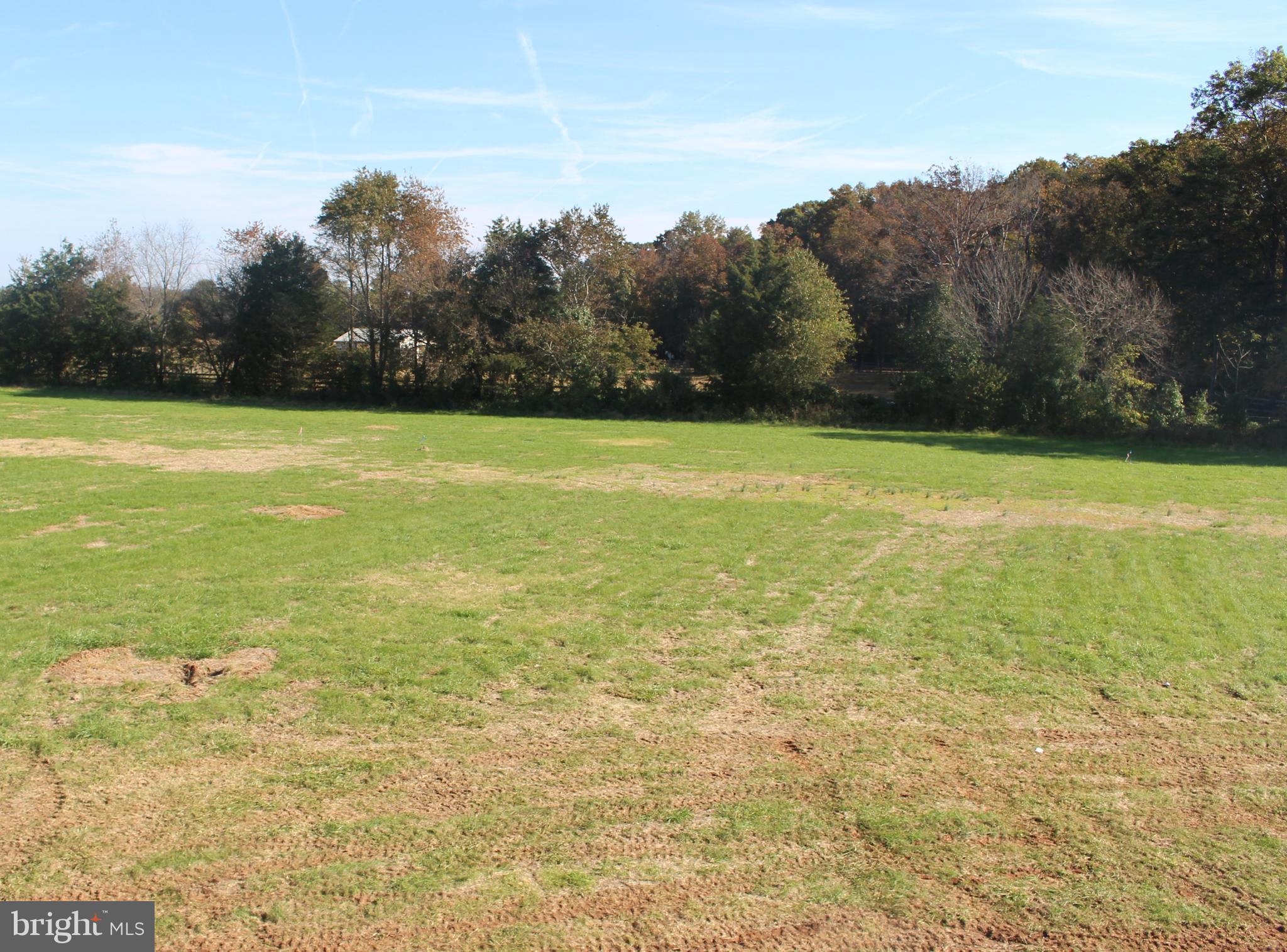 Jonas Road Culpeper, VA 22701 - Photo 12 of 24 View of Backyard