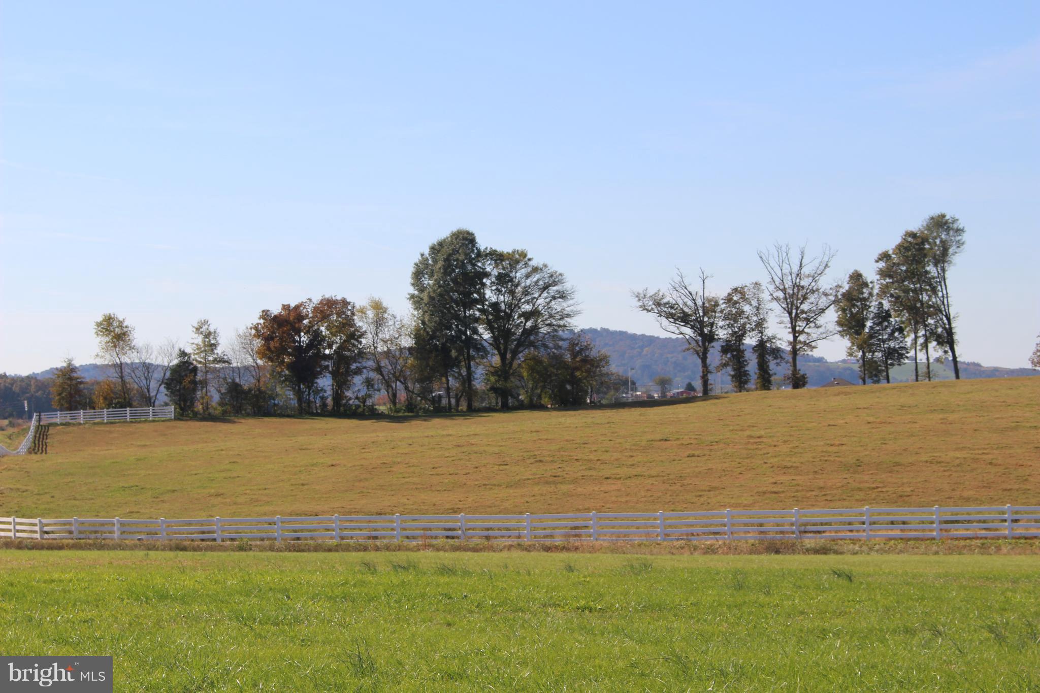 Jonas Road Culpeper, VA 22701 - Photo 23 of 24 Mountain View from front of Home