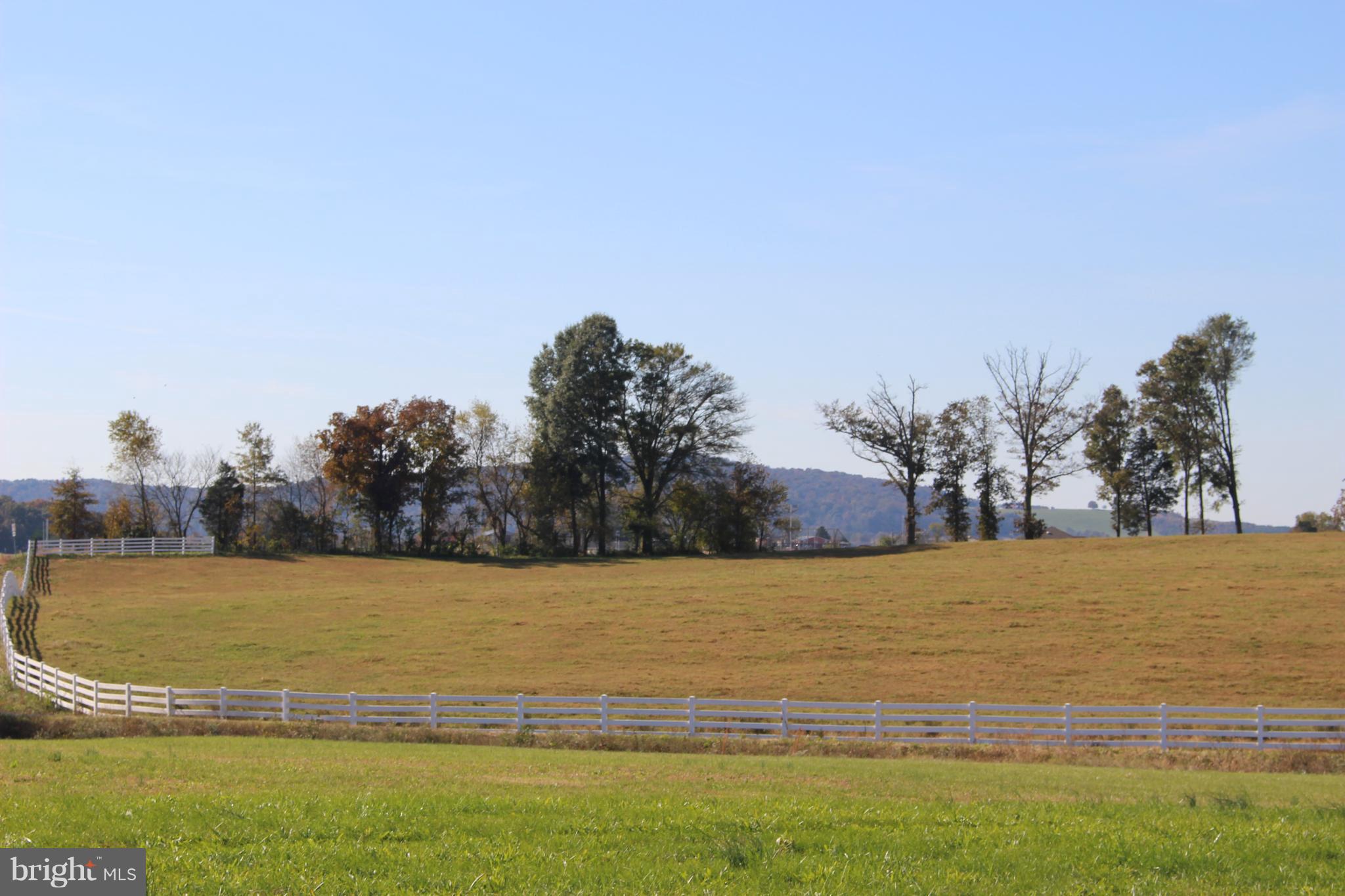 Jonas Road Culpeper, VA 22701 - Photo 4 of 24 Beautiful Mountain View From front of home