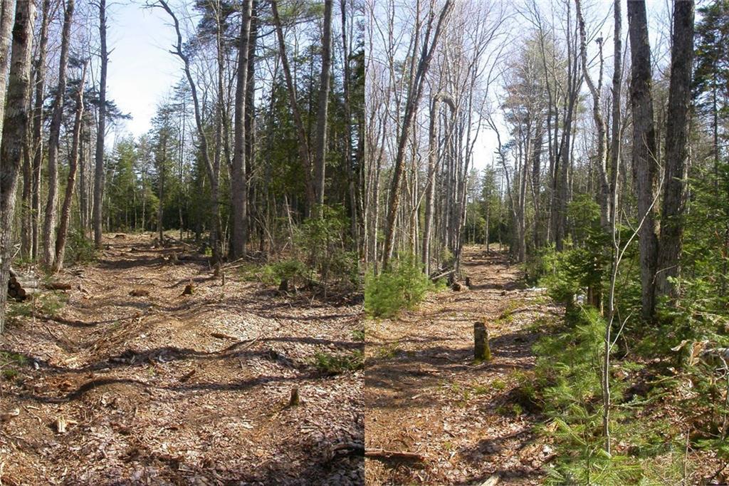 0 Tannery Brook Road Ellsworth, ME 04605 - Photo 4 of 22 Photo