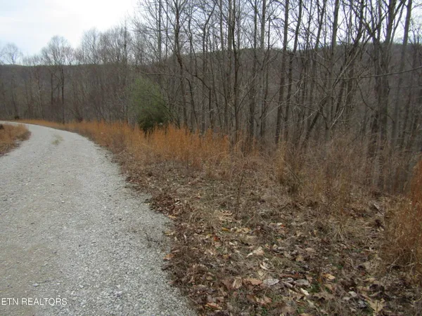 $22,000 | Lot 60 West Bobcat Lane, Wilder, TN 38589