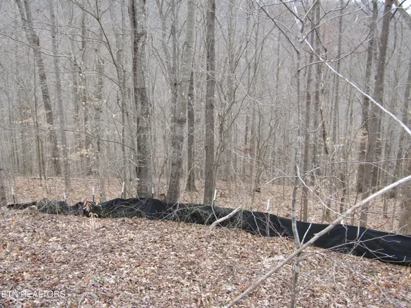 $22,000 | Lot 60 West Bobcat Lane, Wilder, TN 38589