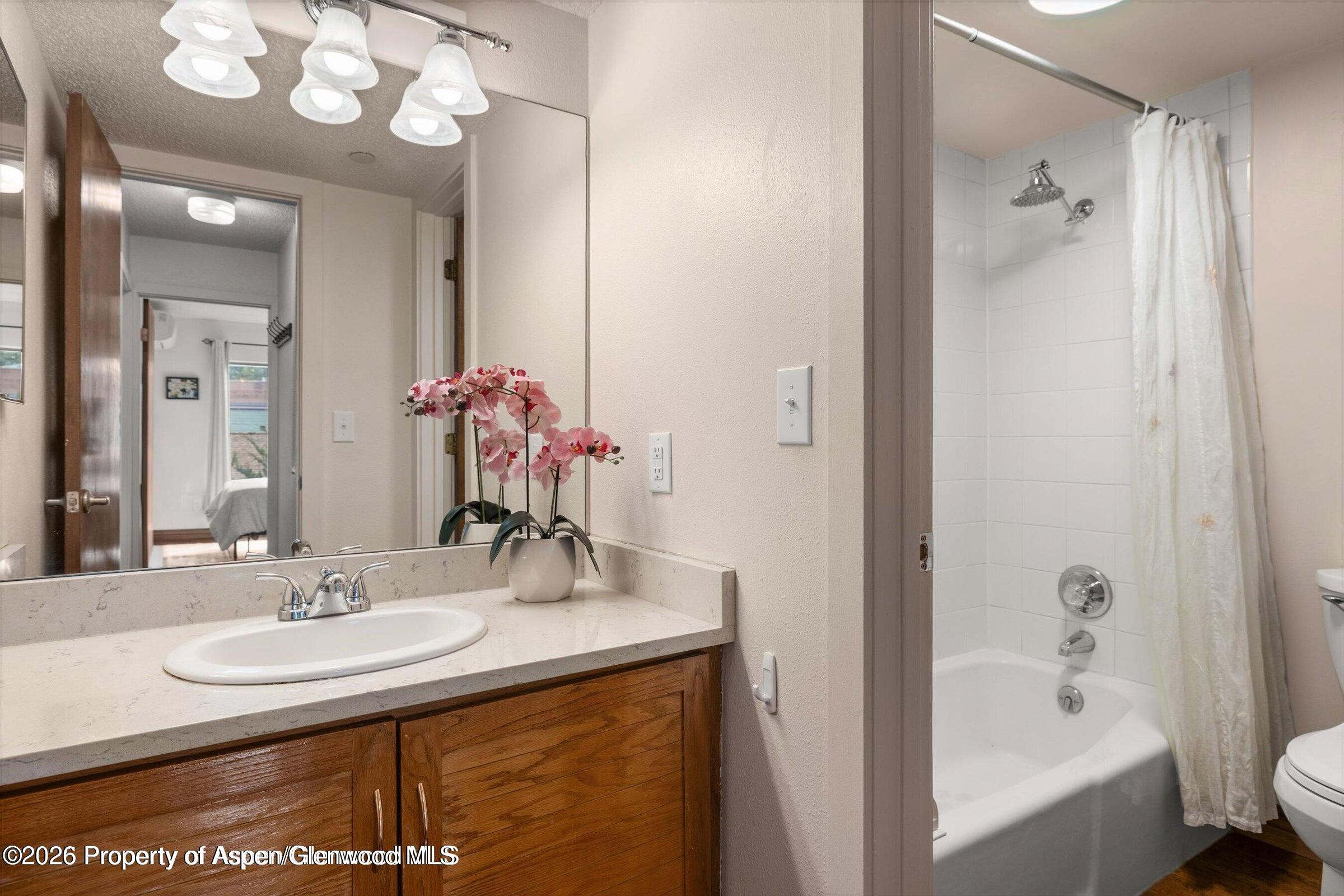 100 Midland Avenue, Unit 106 Basalt, CO 81621 - Photo 10 of 12 Bedroom 2 Bathroom