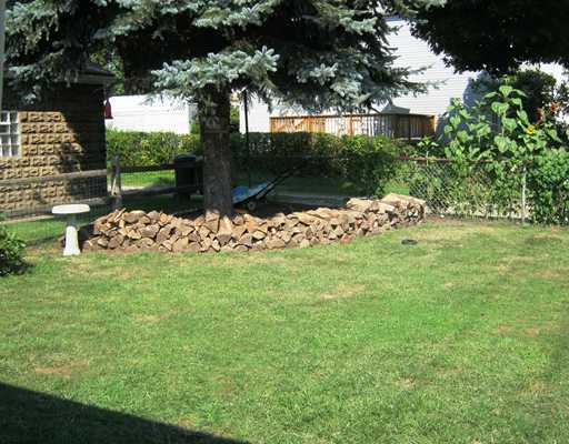 200 Colfax Street Springdale, PA 15144 - Photo 15 of 15 Yard/Garden.