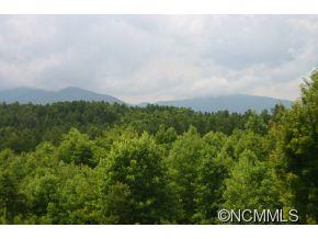 1266 Grassy Knob Road Rutherfordton, NC 28139 - Photo 3 of 20