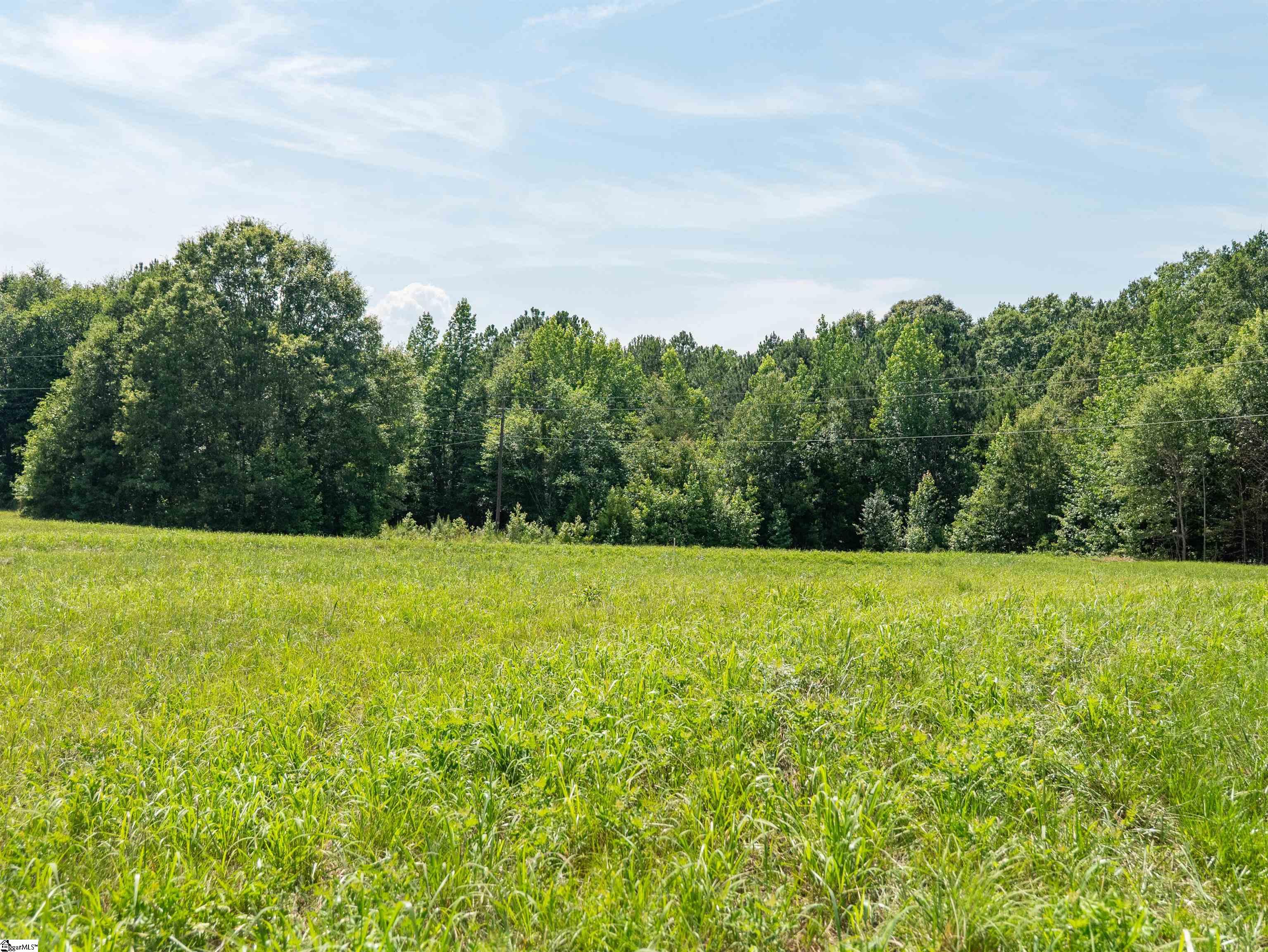 0 Cheek Road, Unit LOT 2 Gray Court, SC 29645 - Photo 23 of 23