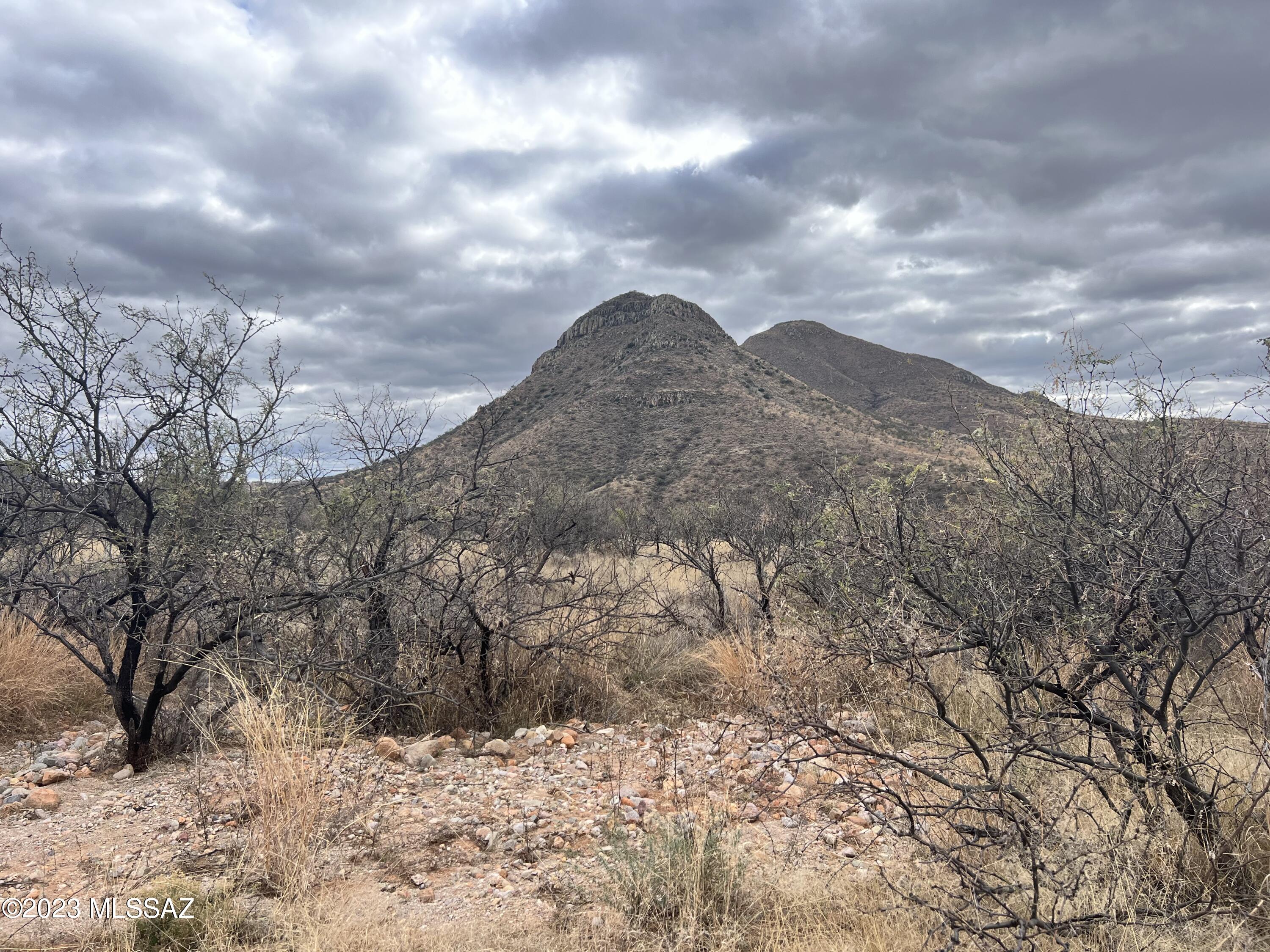 161 D Tequila Sunrise Lane, Unit D Rio Rico, AZ 85648 - Photo 2 of 9